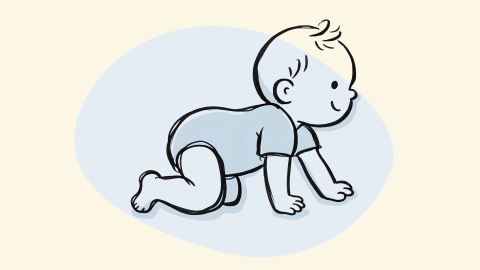 cursus image 2360