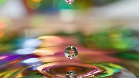 cursus image 2360